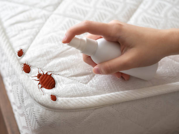 Real Estate Pest Inspections in Fruitport, MI